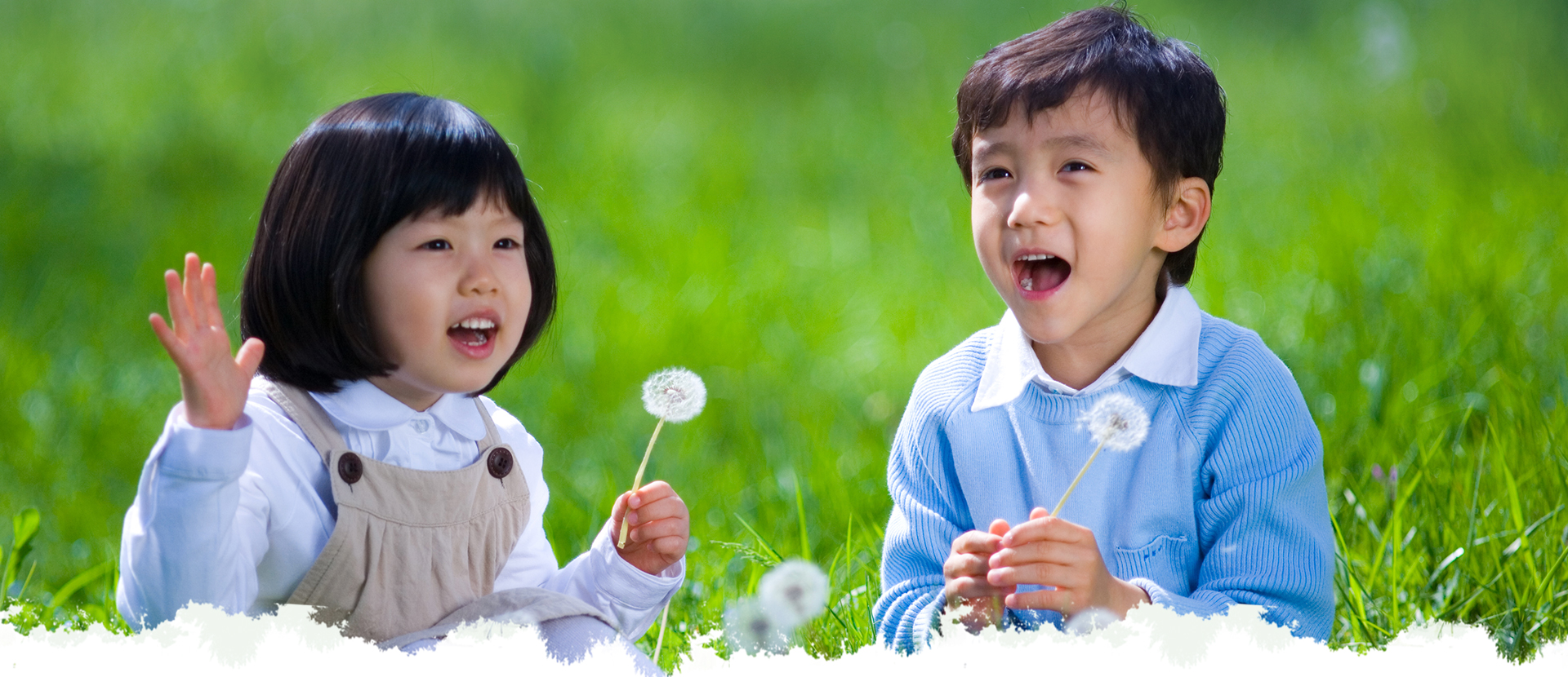 凤凰联盟平台注册·(唯一)官方网站