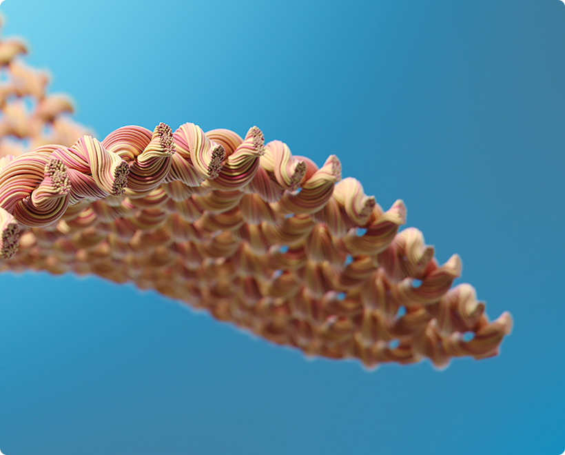 凤凰联盟平台注册·(唯一)官方网站