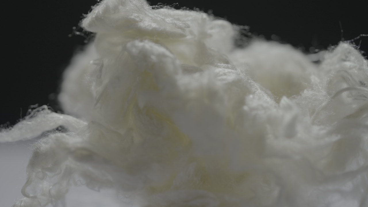 凤凰联盟平台注册·(唯一)官方网站