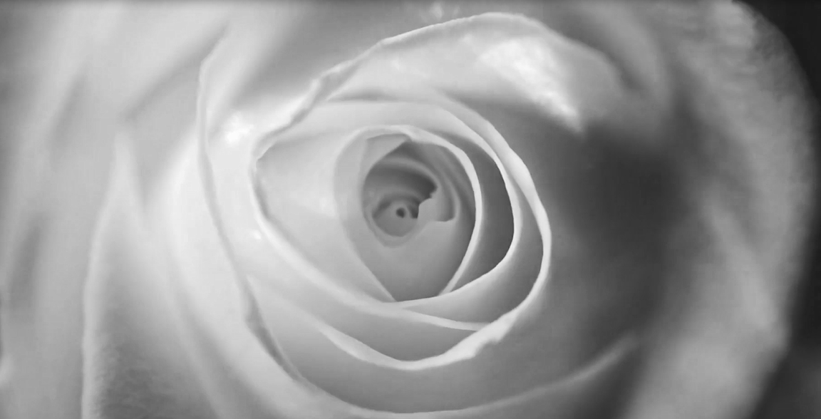 凤凰联盟平台注册·(唯一)官方网站