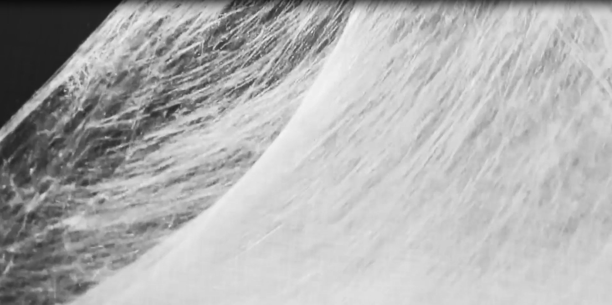 凤凰联盟平台注册·(唯一)官方网站