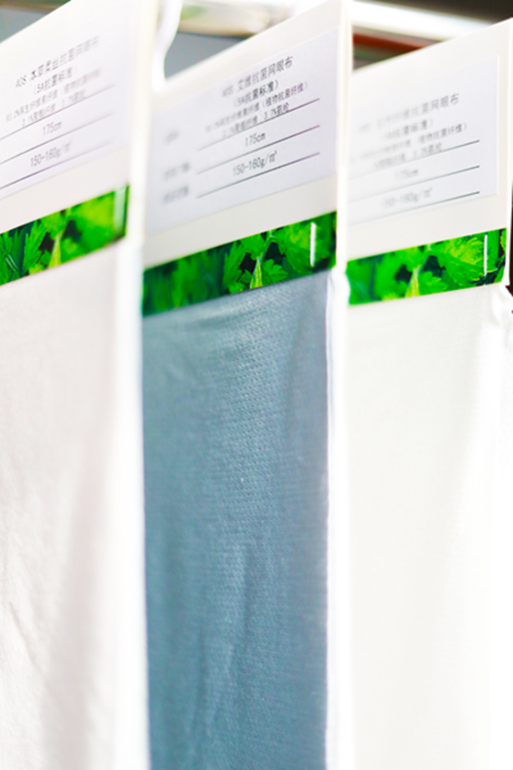 凤凰联盟平台注册·(唯一)官方网站