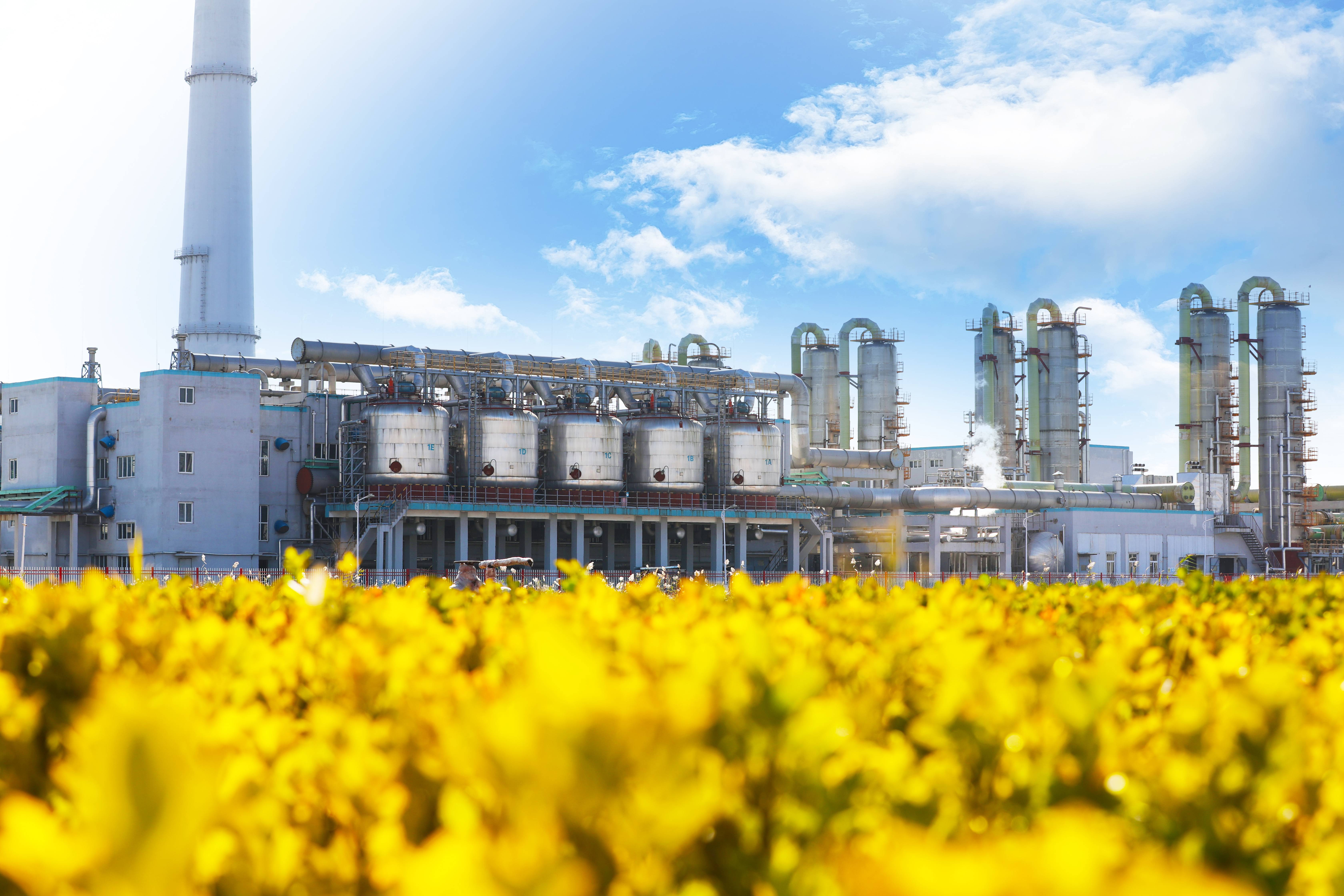 凤凰联盟平台注册·(唯一)官方网站