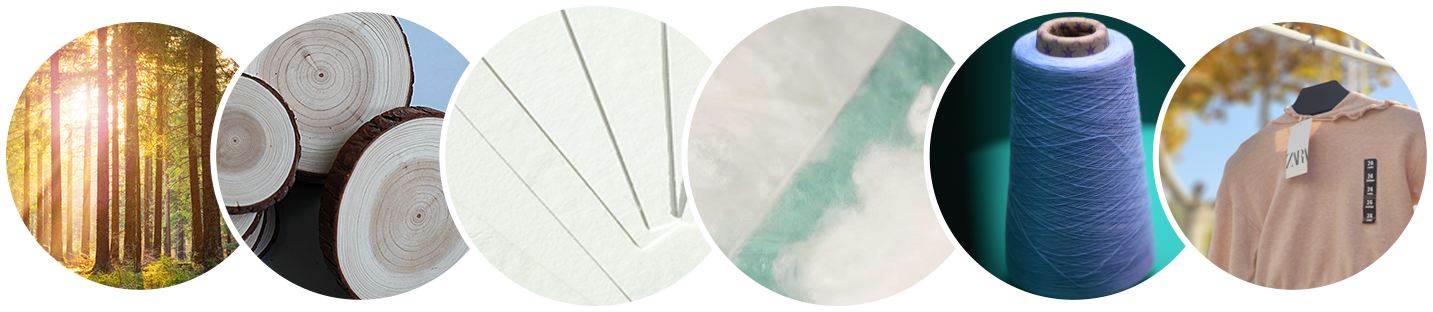 凤凰联盟平台注册·(唯一)官方网站