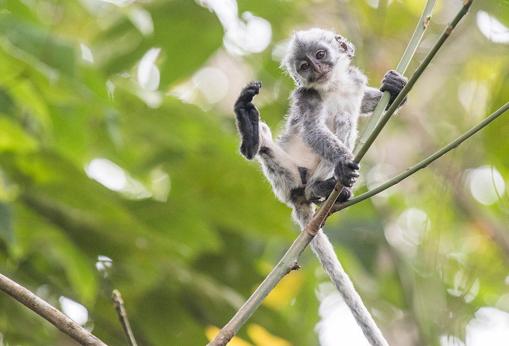 凤凰联盟平台注册·(唯一)官方网站